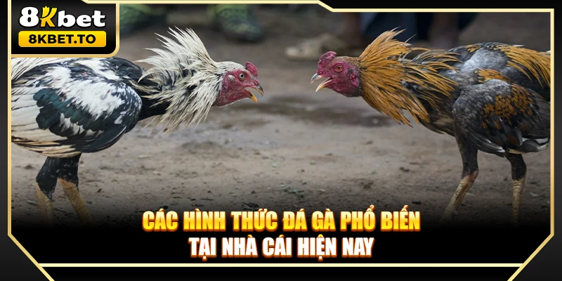 Các hình thức đá gà phổ biến tại nhà cái hiện nay